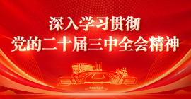 學(xué)習(xí)貫徹黨的二十屆三中全會(huì)精神